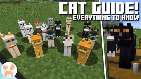 Different Types Of Cats In Minecraft