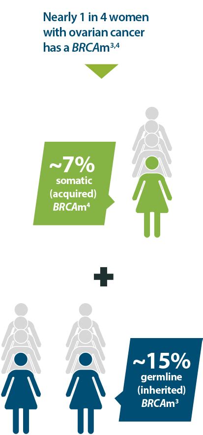 Ovarian Cancer BRCA Testing – LYNPARZA® (olaparib)