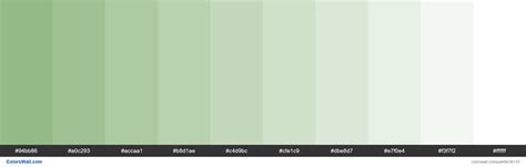 Tints XKCD Color sage green #88b378 hex | Light green color code, Hex ...