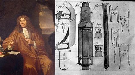 Anton Van Leeuwenhoek Discovery