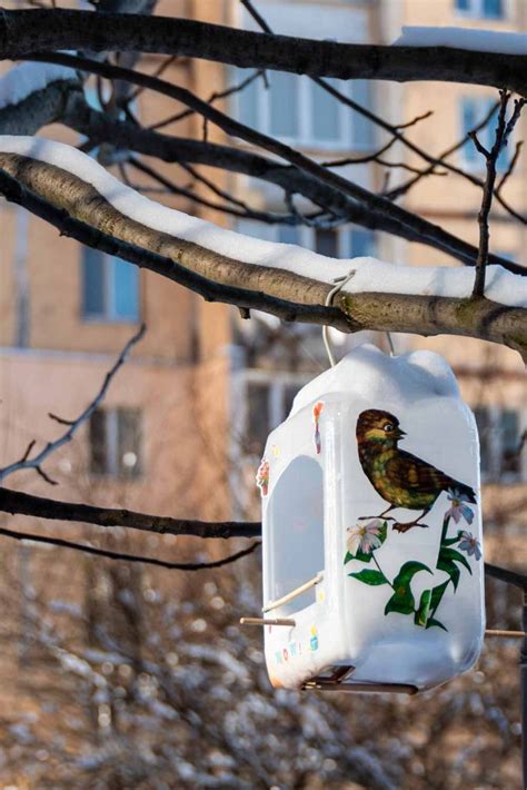 Easy Ways To Provide Shelter For Winter Birds In Your Yard! - Mental Scoop