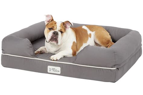 Best Memory Foam Dog Beds with Bolster - Hey, Djangles.