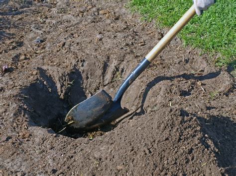 Long Vs. Short Handled Shovel - When To Use A Long Handled Shovels In ...