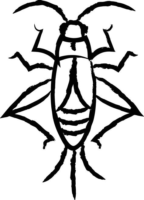 Cricket bug hand drawn vector illustration 32182654 Vector Art at Vecteezy