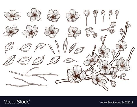 Hand Drawn Spring Flowers Blossoming Set