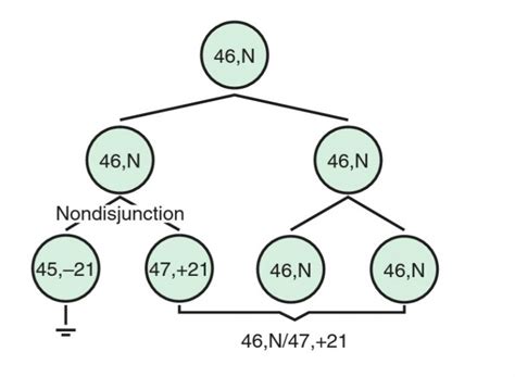 TRISOMY 21 - Care of Children