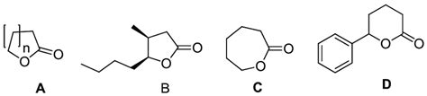 Representative examples of lactone structure: lactone (A), whiskey ...