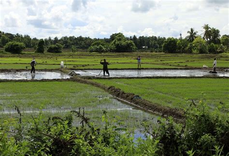 Human-Environment interaction - Sri Lanka 5 Themes of Geography