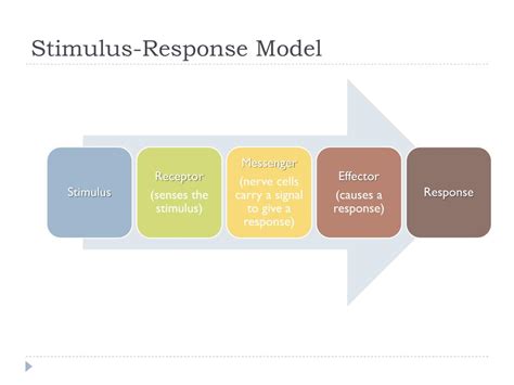 PPT - Stimulus and Response PowerPoint Presentation, free download - ID ...