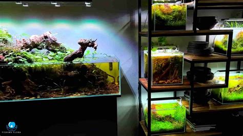 What Is Aquarium Substrate? A Beginner's Guide!