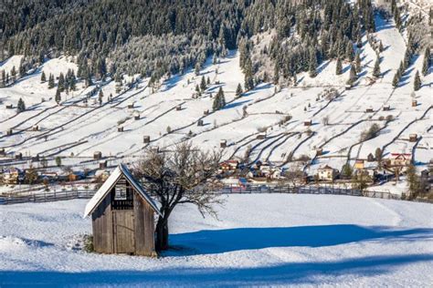 The history of Bucovina. Tours of Romania and Eastern Europe.