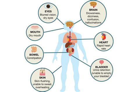 Anticholinergic Side Effects in the Older Adult Population - Genomind