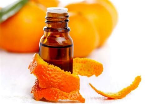 Benefits Of Orange – Essence