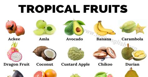 Top 35 Best Tropical Fruits You Should Try - Love English