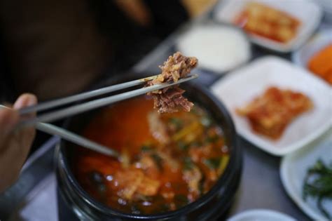 South Korea takes dog meat off the menu | Food News | Al Jazeera