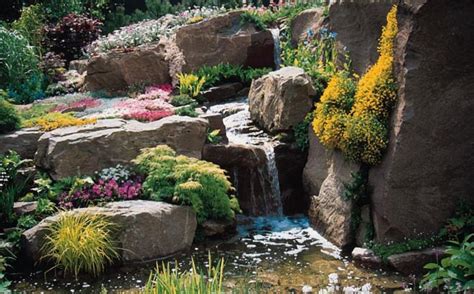 10 Shade Loving Rockery Plants | Rockery garden, Rock garden design ...