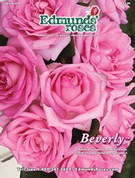 Request A Catalog | Rose trees, Rose, Free catalogs