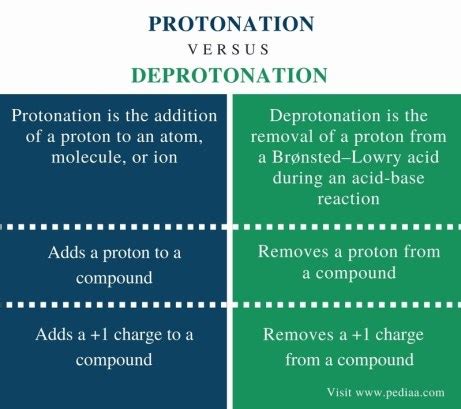 Difference Between Protonation and Deprotonation | Definition ...