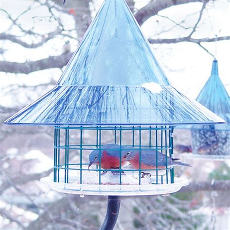 Sky Cafe Caged Bluebird Feeder