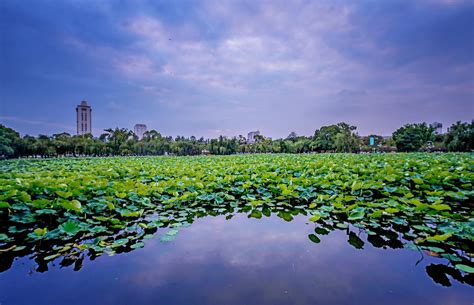 Kunming | Colorful Yunnan