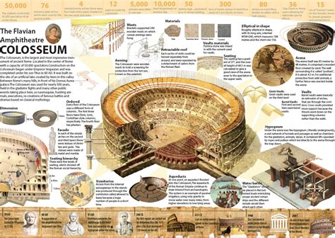 COLOSSEUM ARCHITECTURE INFOGRAPHIC-- (SEM 4 ARCHICTECTURE HISTORY 01 ...