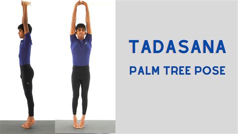 Tadasana (Palm Tree Pose) - YouTube