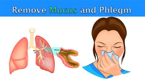 5 Ways to Remove Mucus and Phlegm From The Chest and Throat - WomenWorking