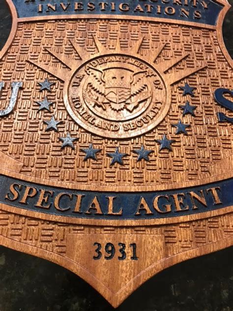 Homeland Security Investigations HSI Badge | Etsy