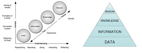 Two Perspectives on Data-Information-Knowledge-Wisdom (DIKW) In ...