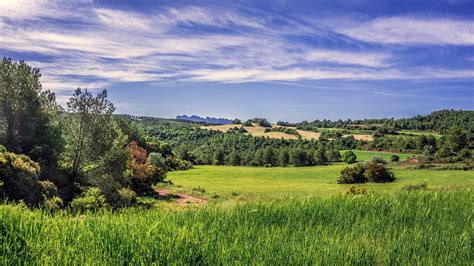 Rural Landscape Field Of Cereals - Free photo on Pixabay - Pixabay