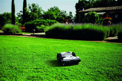 Why Grass Types Matter When Choosing a Robotic Lawn Mower - Autmow ...