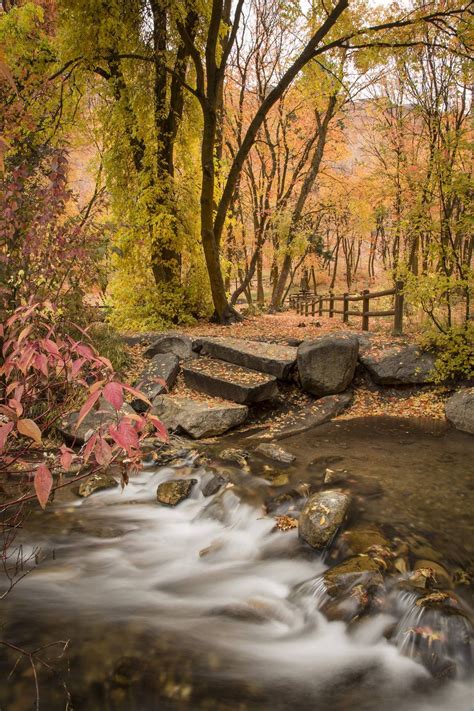 Millcreek Canyon, Utah | Canyons utah, Millcreek canyon, Utah photography