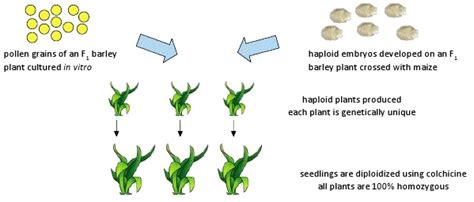 GenerationCP - Plant Breeding Module