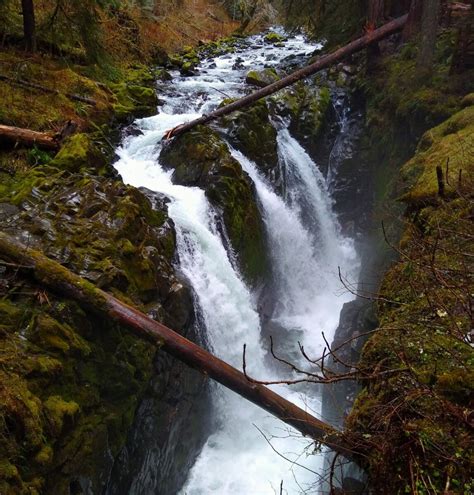 5 Best Olympic National Park Waterfalls - Ordinary Adventures