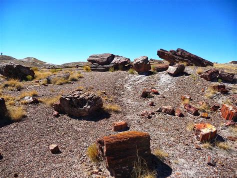 Wonders of Nature: the Petrified Forest & Painted Desert