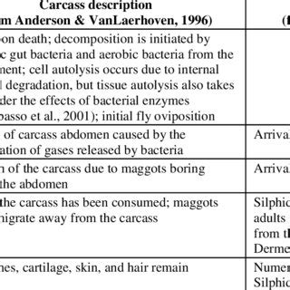 Description of decay stages for carcass and cadaver decomposition ...