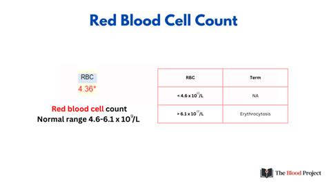 RBC Count • The Blood Project