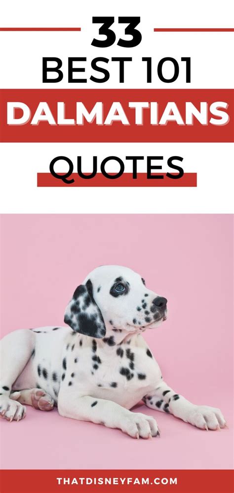 33 101 Dalmatians Quotes That Are Simply The Best - That Disney Fam