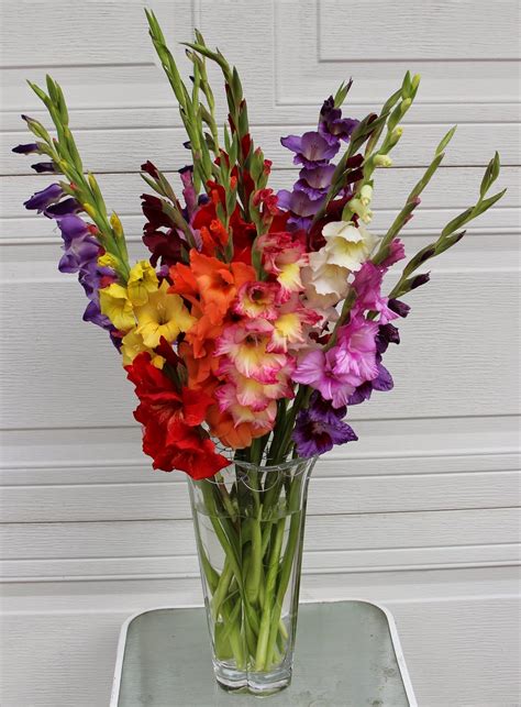 GLADIOLAS IN SUMMER FLORAL ARRANGEMENTS - Sowing the Seeds