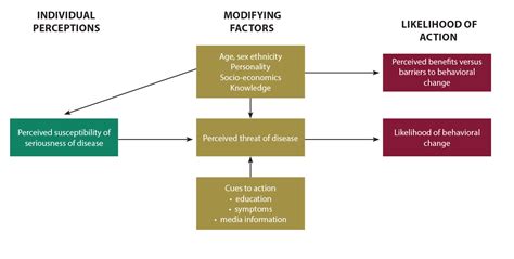 Health Belief Model - Promoting Quality Malaria Medicines through SBCC