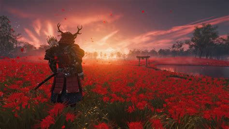 Общие продажи Ghost of Tsushima превысили 8 млн копий — Игромания