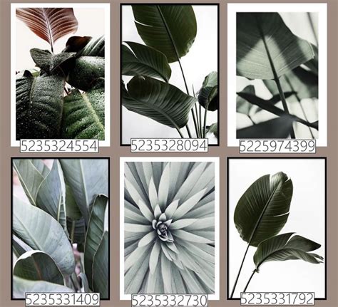 four different pictures of leaves and plants with the same number in ...