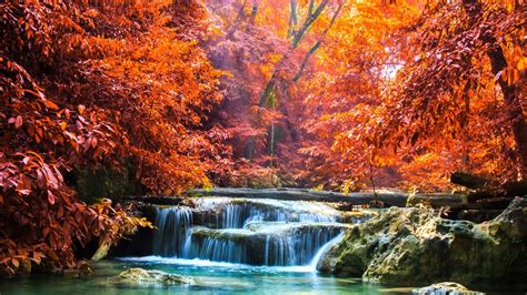 Landscape View Of Colorful Autumn Leafed Trees And Waterfall Between ...