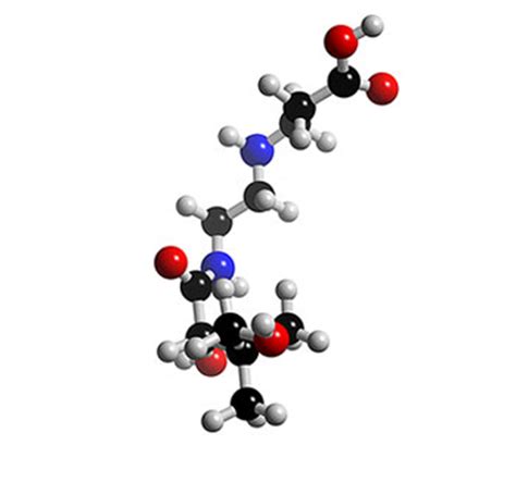 Pantothenic Acid, What is Pantothenic Acid? About its Science ...