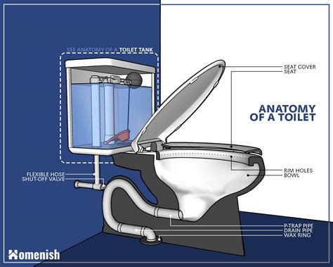 Parts of a Toilet and How It Works (3 Detailed Diagrams) - Homenish