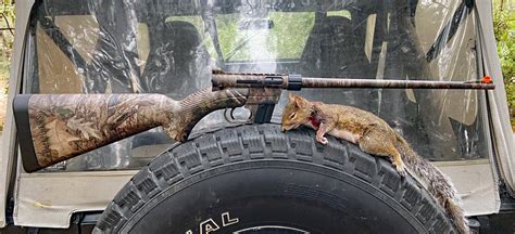 Squirrel Hunting With the Henry AR-7 Survival Rifle | 1911Forum