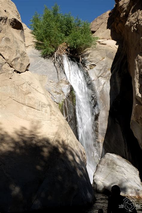 Tahquitz Falls Hike - An Oasis in the Desert | Marquez Five Adventures