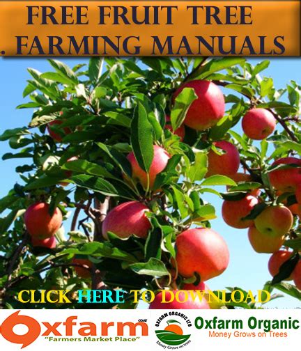 “PASSION FRUIT” FARMING GUIDE – Oxfarm Organic Ltd