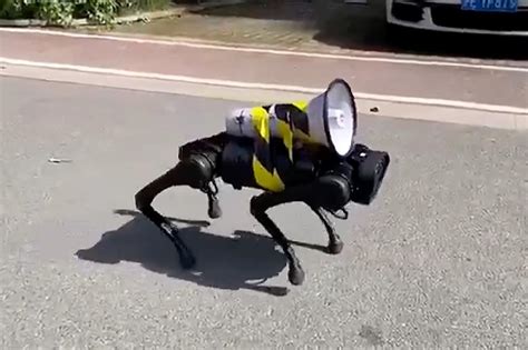 Robot dog with loudspeaker barks COVID instructions in China