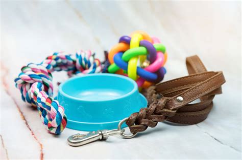 Tips For Organizing Pet Supplies: Helpful Info For Dog Parents ...